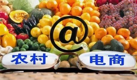 做农产品电商有前途吗(新手做农产品电商怎么做)图8