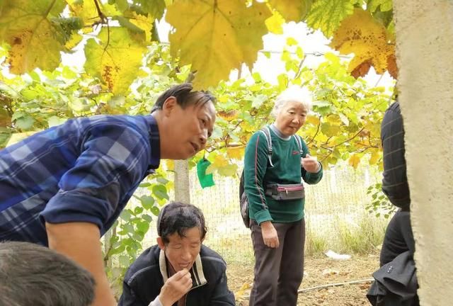 说三农道三农究竟什么是三农,了解什么是三农以及三农生活常识图7