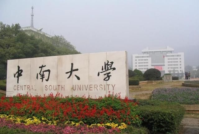 中南大学电子信息专业就业怎么样图1