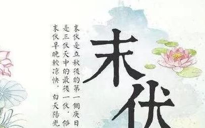 三伏最后一伏到来怎么办(三伏和末伏是一回事吗)