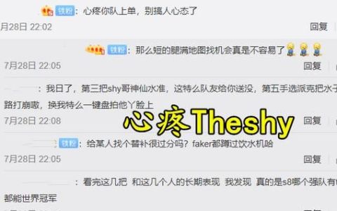 当ig退无可退the shy凯南夺得mvp