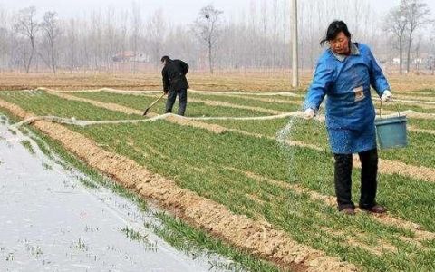 为什么现在农民出去打工不再种地