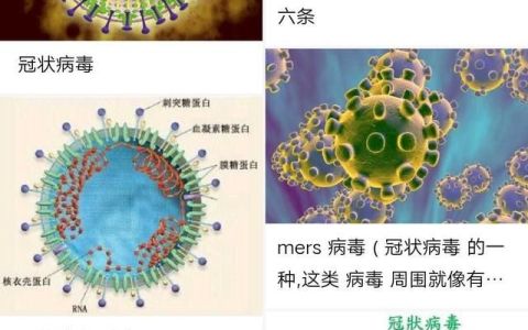 疫情结束后哪些农产品会涨价