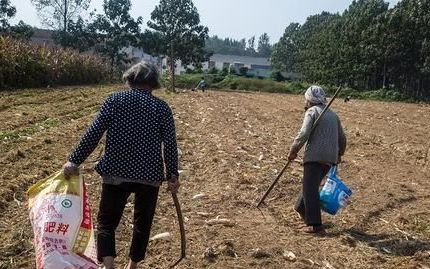 农村人的悲哀,农村老人重病,我该马上回家吗