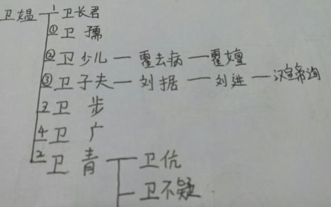 卫子夫卫青霍去病是什么关系