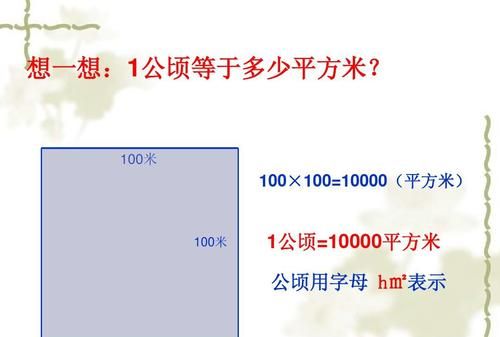 数学，公顷的字母表示是什么