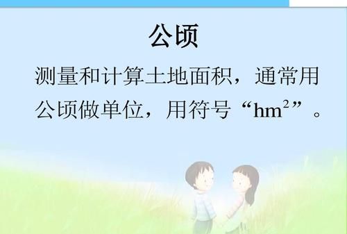 小学数学所有单位用什么字母代表