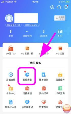 10085怎么短信查流量和话费