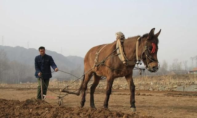 现在年青人都往城里跑，剩下老年人地咋种、农村还有发展图2