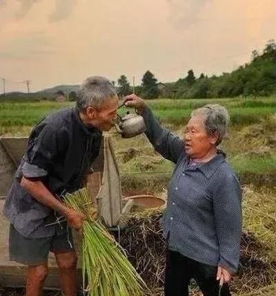 现在年青人都往城里跑，剩下老年人地咋种、农村还有发展图5