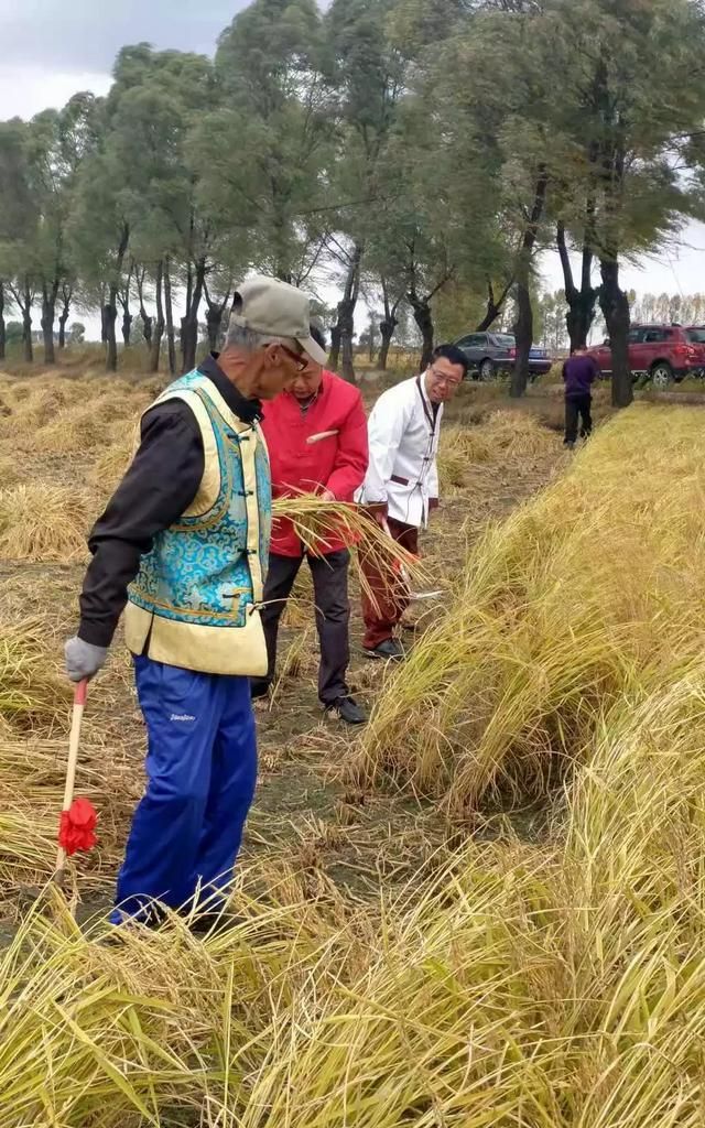 如果你是做父母的，你愿意你的孩子当一名职业农民图1