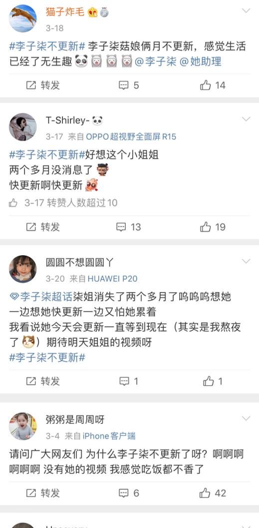 李子柒为什么停止更新了，李子柒为什么不更新了图2