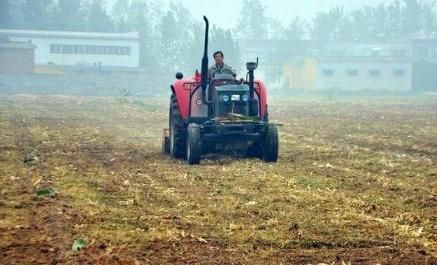 粮食价格一直下滑，农民还会继续种地图4