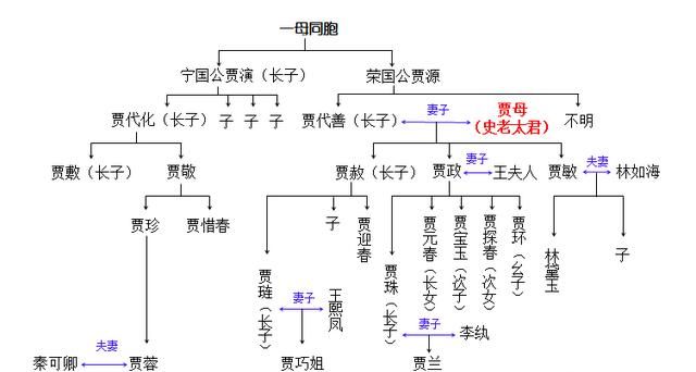 《红楼梦》是父权社会，贾母为何拥有家长权图8