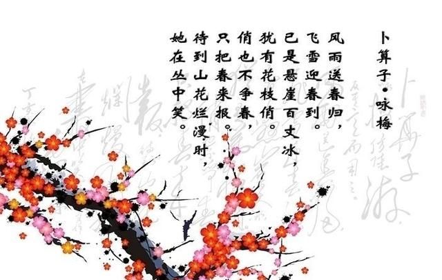 为什么喜欢梅花这首诗的理由：梅花诗，你喜欢谁的为什么图1