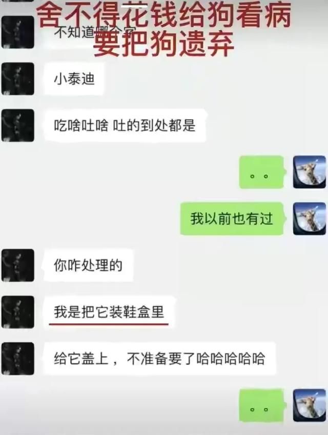 谁指使郑爽干的郑爽为何胆子这么大张恒为何要赶尽杀绝图1