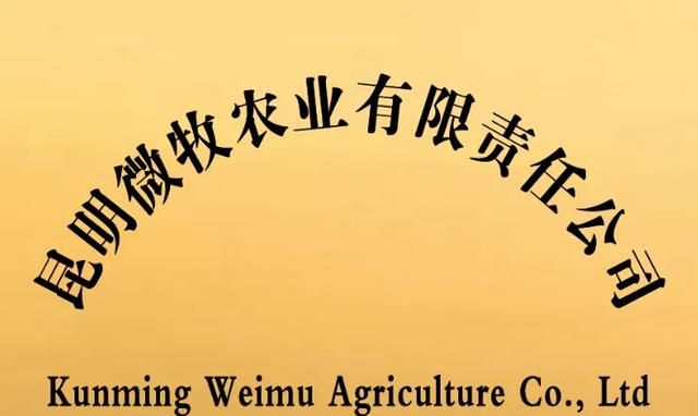 今年就35岁了，有没有和我一样没有结婚并且很迷茫的人呢图1