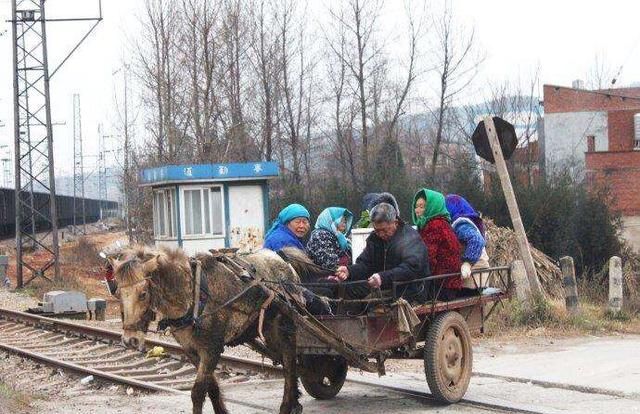 又到母亲节了大家觉得应该怎么孝顺父母呢图1