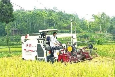 农民不愿意种地大批量进城打工，未来粮食从哪来呢图9