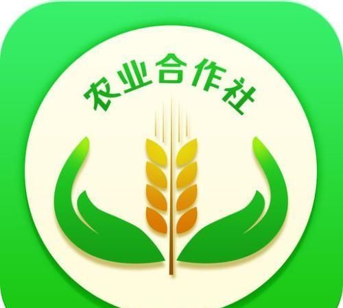 最近粮食和化肥种子都涨价了，农民该怎么办图6