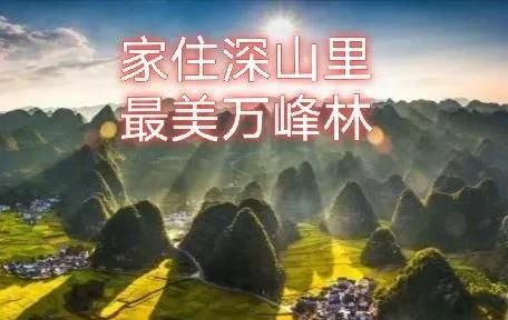 疫情期间，五一长假你愿意呆在家还是选择外出为什么图1