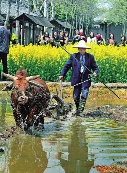 如果农民不种地了，那会发生什么事情呢你怎么看图1