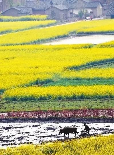 如果农民不种地了，那会发生什么事情呢你怎么看图3