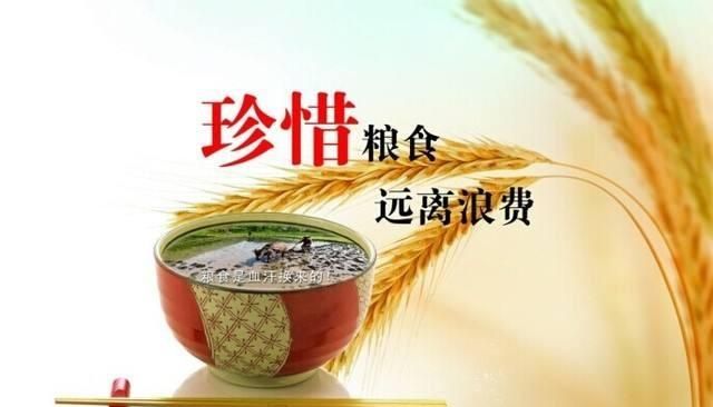 今年粮食会涨价吗?能涨到什么程度，今年粮食会涨价图3