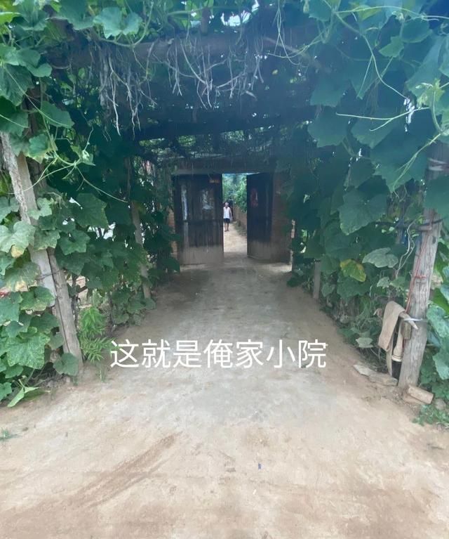 如果退休以后，在农村还有自己房子和地，你会不会选择回农村养老图1