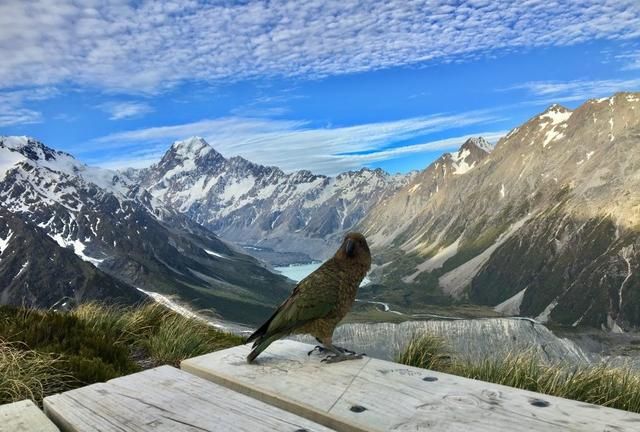 疫情期间可以去哪些国家旅游，疫情结束你最想去哪个国家旅行图2