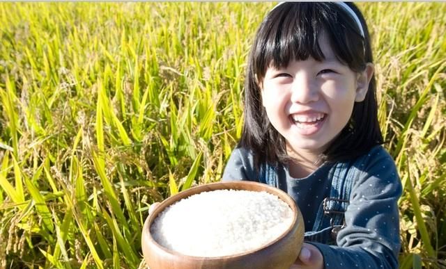 今年我国粮食会涨价吗：目前，我国的粮食会不会涨价图8