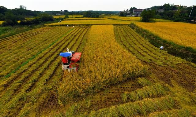 如果给你一天200元你愿意回去农村种地前提是一年产出一万斤粮食你能做到图1