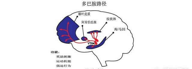 三十岁男人的迷茫，负债累累，是打工还是创业好图2