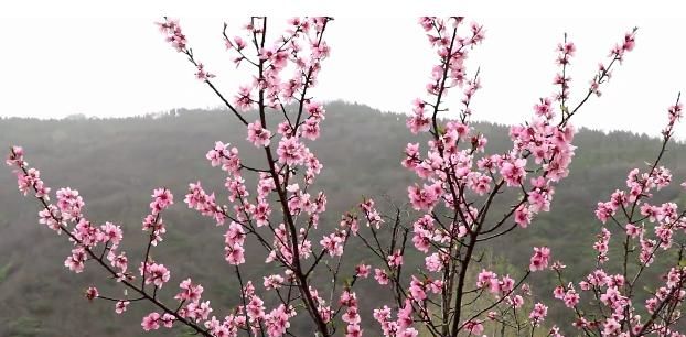 陕西蓝田最值得去的地方是哪里图14