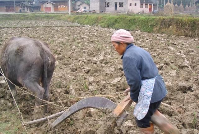 现在一些地方农村种庄稼不挣钱，一些农村人吃得好穿得好钱从哪些地方来图6