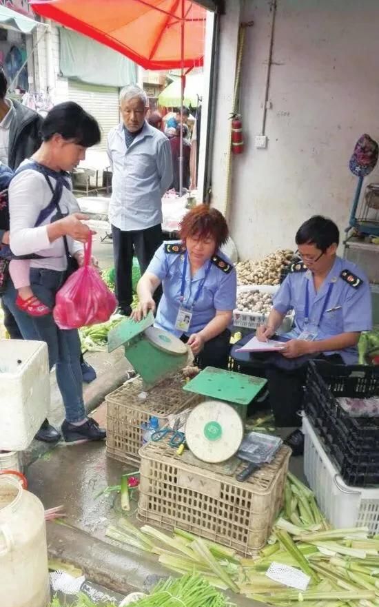 种植野菜有市场么图9