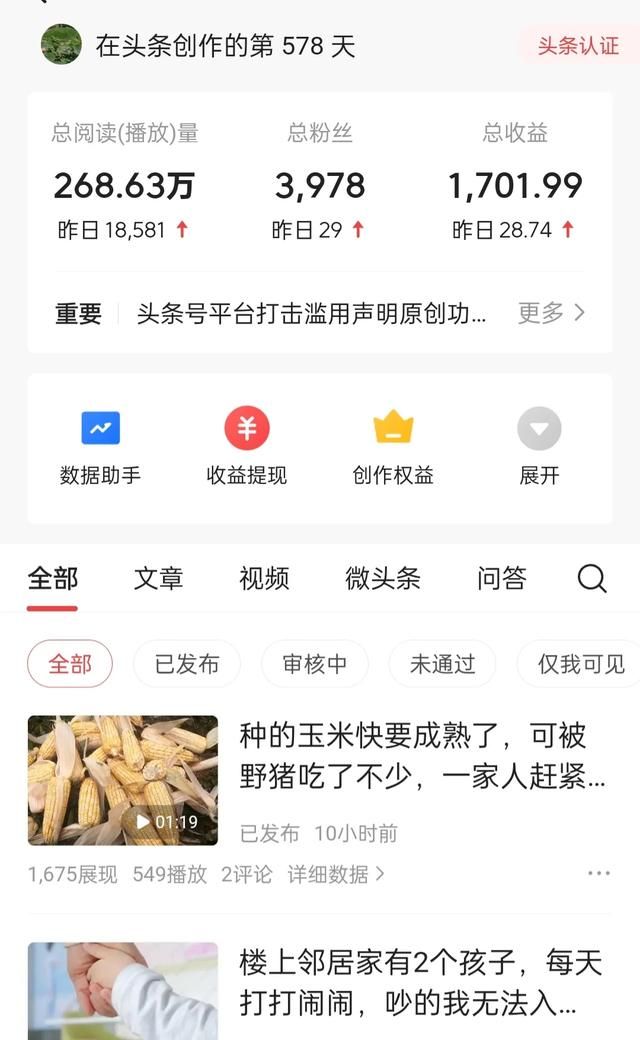 今日头条多少粉丝才有收益图4