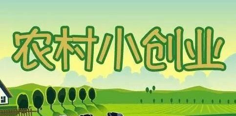 为什么回农村创业图5