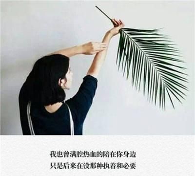 爱你的人怎么都不会离开你图7