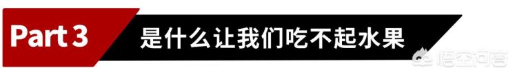 今年的水果为什么比较贵图26