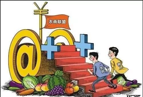 农村电商的优势和劣势图6