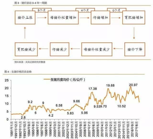 结合现在有非洲猪瘟影响的条件下,如何发展养猪业图5