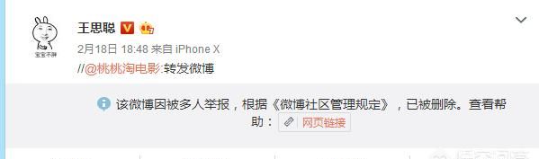 王思聪为什么突然停更微博图13