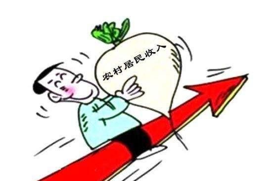 在农村一年收入十万图4