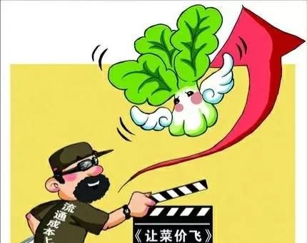 菜价上涨什么原因图7