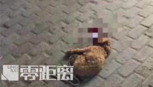 丈夫摔死咬人泰迪后遭死亡威胁图1