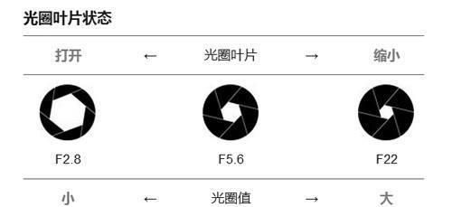 用相机拍的光圈一般是多少图3