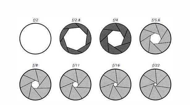 用相机拍的光圈一般是多少图6