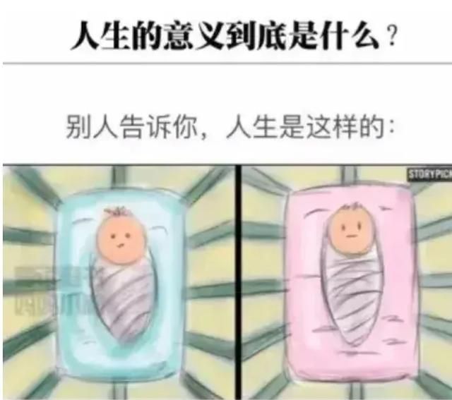 人生的意义究竟是什么 每个人都要死图1