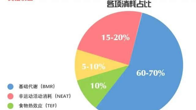 为什么我一个星期力量训练一小时有氧半小时，怎么一个月体重没减图4